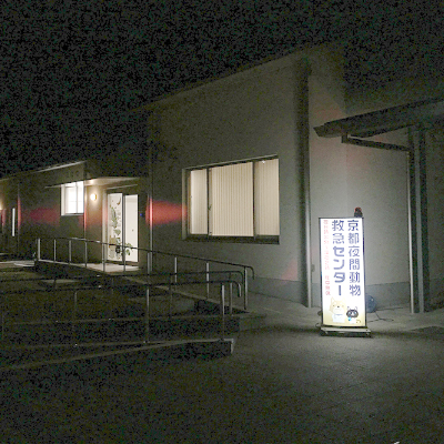 夜間の京都夜間動物救急センター外観